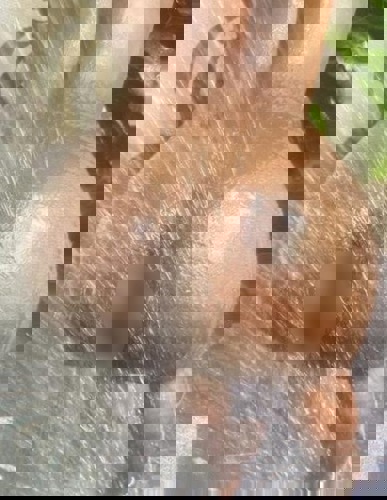 NEUCarolausBrasil1 - +4915201884867, +491520-1884867, 01520-1884867