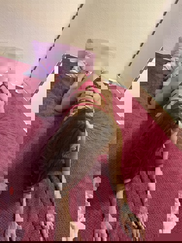 Zeynep1630 - +491630169618, +49163-0169618, 0163-0169618