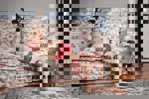 ภาพโปรไฟล์