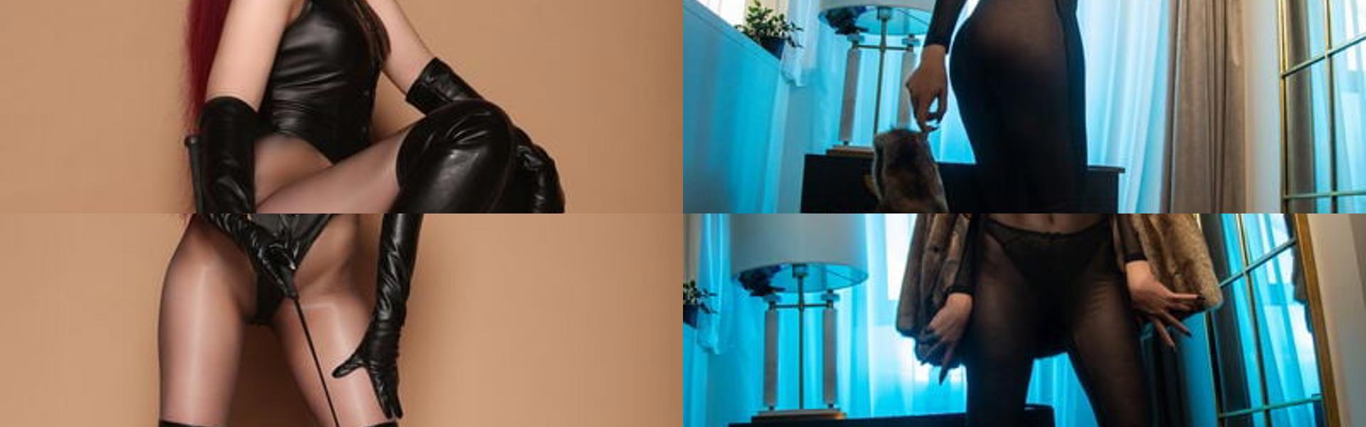 תמונת כותרת הפרופיל