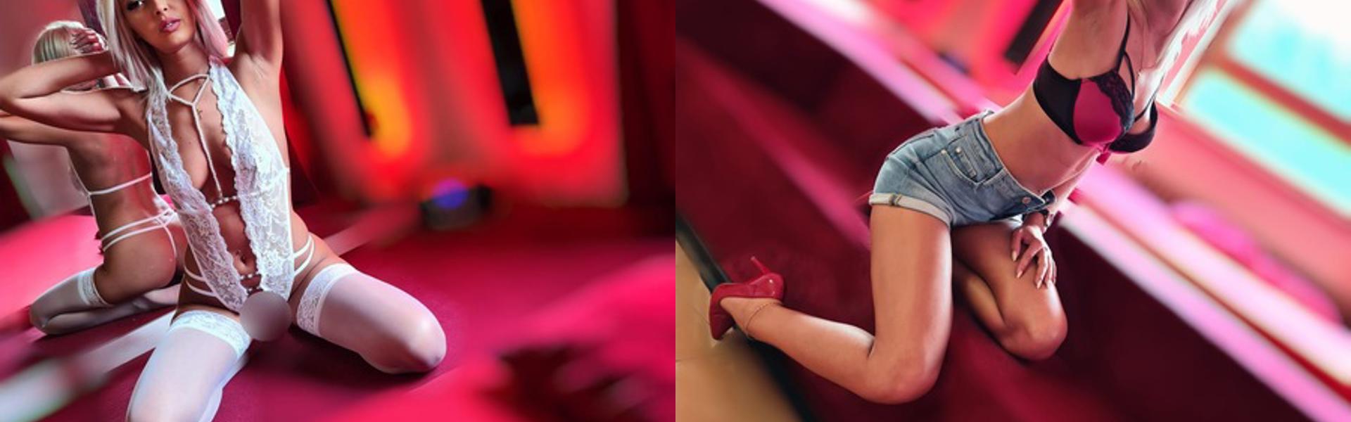 Imagen de encabezado del perfil