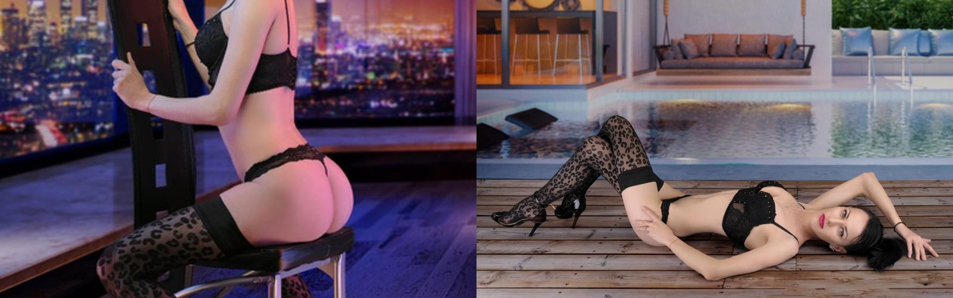 Imagen de encabezado del perfil