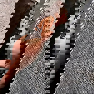 ภาพโปรไฟล์