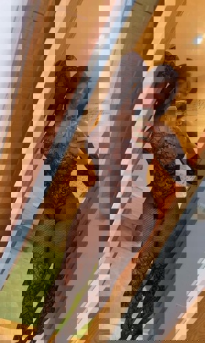 Sofia1521207 - +4915212078947, +491521-2078947, 01521-2078947