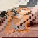 Immagine del profilo