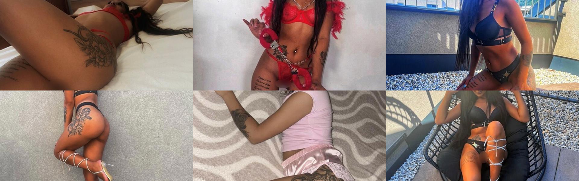 Profilio antraštės nuotrauka