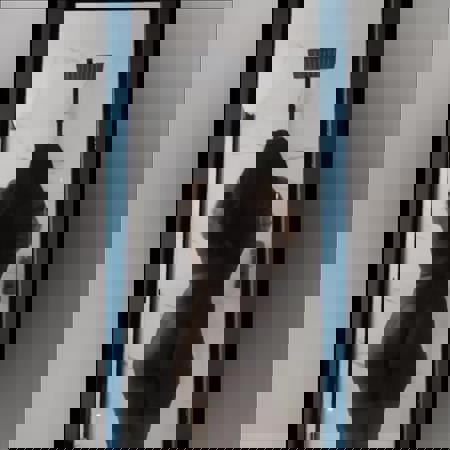 MoniexotischeLadyGANZNEU - +4915218951761, +491521-8951761, 01521-8951761