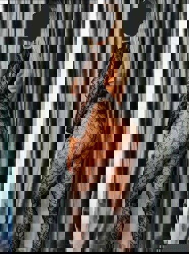 Ema15155114 - +4915511427366, +4915511-427366, 015511-427366