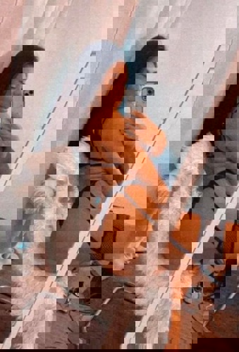 Amira1512 - +4915124366560, +491512-4366560, 01512-4366560