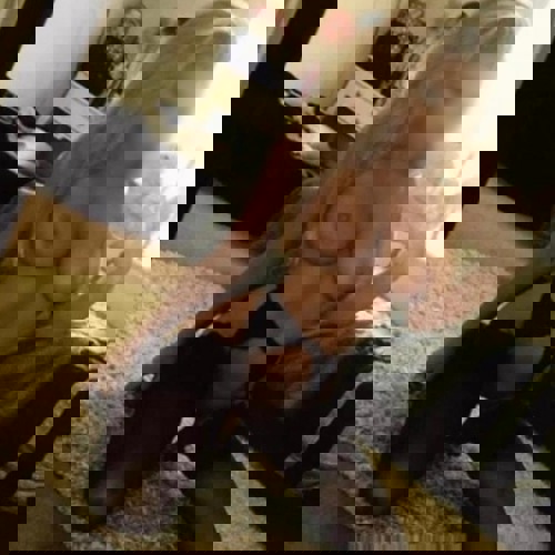 Lisa1152135 - +4915213583843, +491521-3583843, 01521-3583843