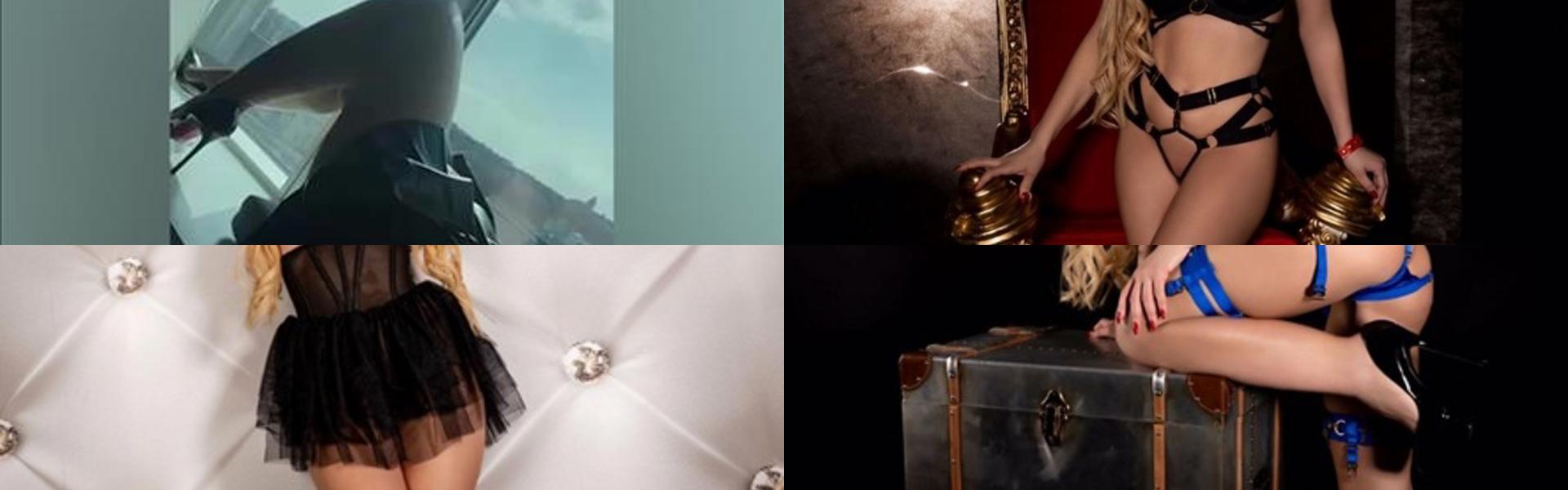 Imagen de encabezado del perfil