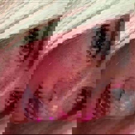 DeutscheAnnikanurWhatsApp1 - +491638821071, +49163-8821071, 0163-8821071