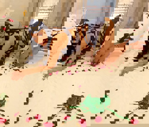 Mara115214 - +4915214229315, +491521-4229315, 01521-4229315