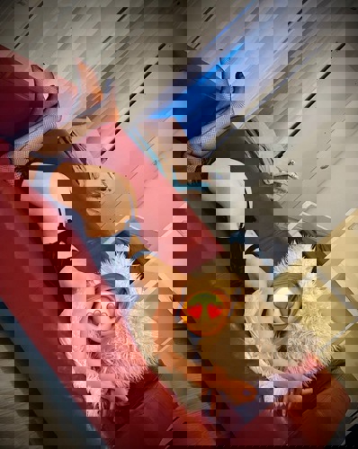 Melinda15211 - +4915211338572, +491521-1338572, 01521-1338572
