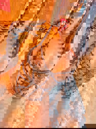 VvianausBrasilien1 - +4917658053635, +49176-58053635, 0176-58053635