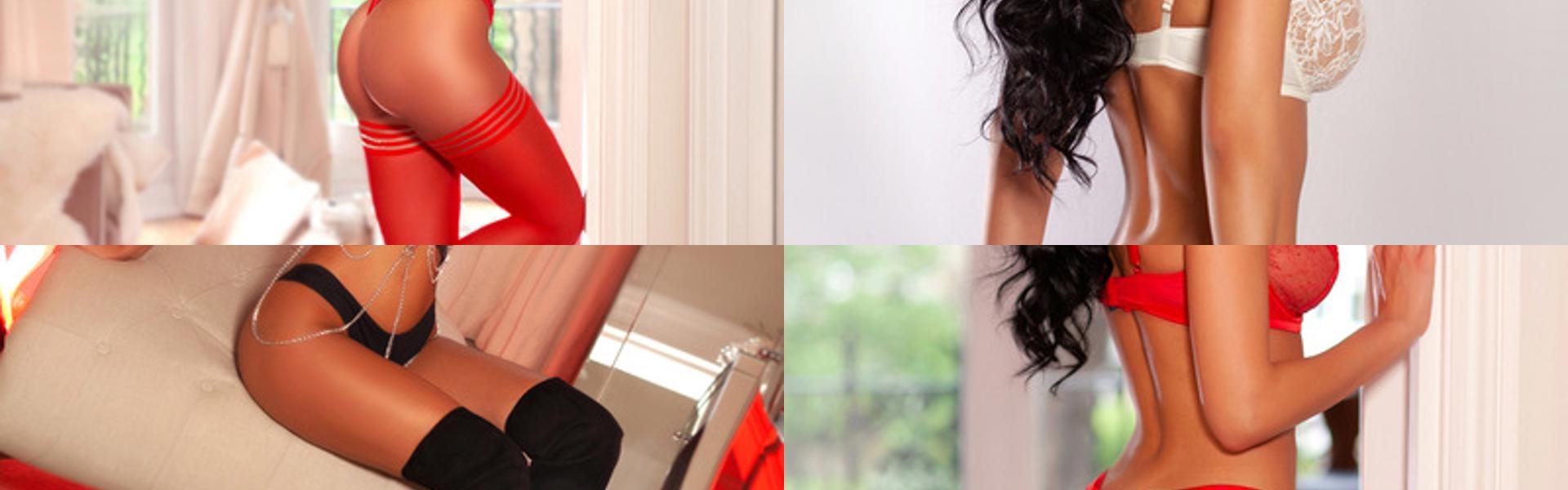 Zaglavna slika profila