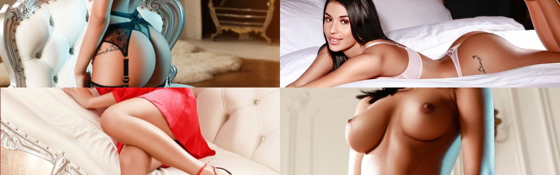 Zaglavna slika profila