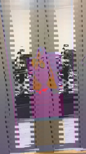 Lory1152154 - +4915215406286, +491521-5406286, 01521-5406286