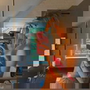 תמונת הפרופיל