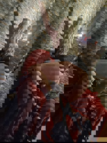 Andreea15124 - +4915124337370, +491512-4337370, 01512-4337370