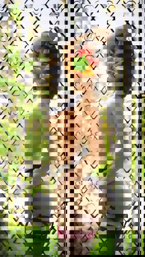 Nita116 - +491637790920, +49163-7790920, 0163-7790920