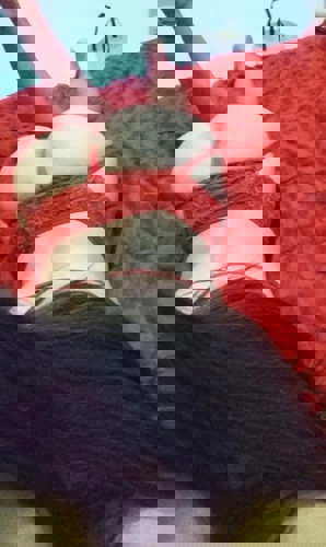 KittiTopserviceNeu15 - +4915214911793, +491521-4911793, 01521-4911793