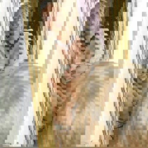 Lisa16 - +491633698223, +49163-3698223, 0163-3698223
