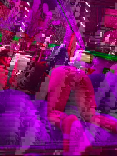 Mary1172 - +491728803043, +49172-8803043, 0172-8803043