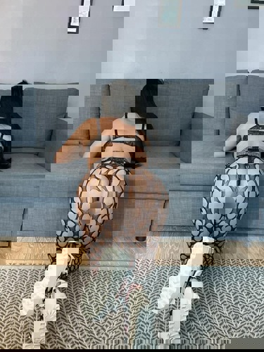 Ruby11521382 - +4915213826665, +491521-3826665, 01521-3826665