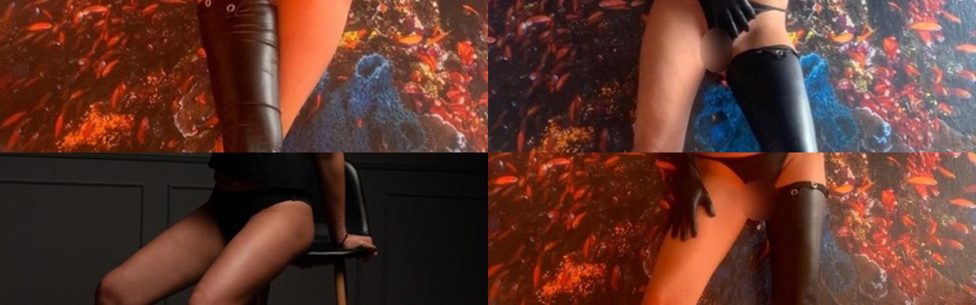 Zaglavna slika profila