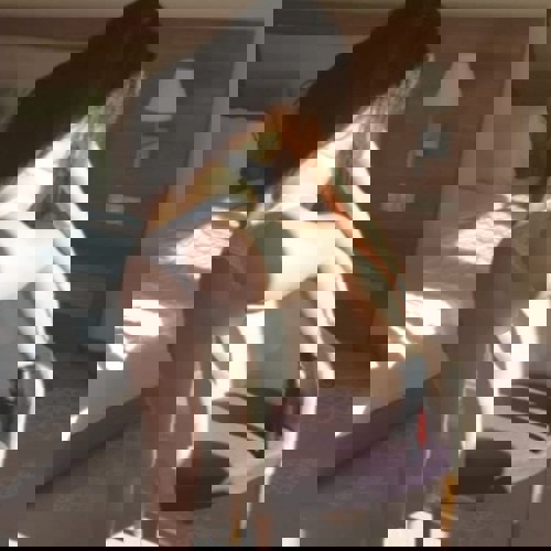 LinaGanzneuOriginalBilder - +4915215213963, +491521-5213963, 01521-5213963