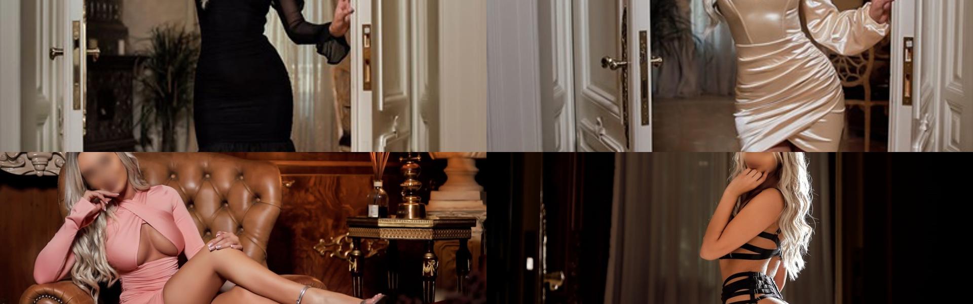 תמונת כותרת הפרופיל