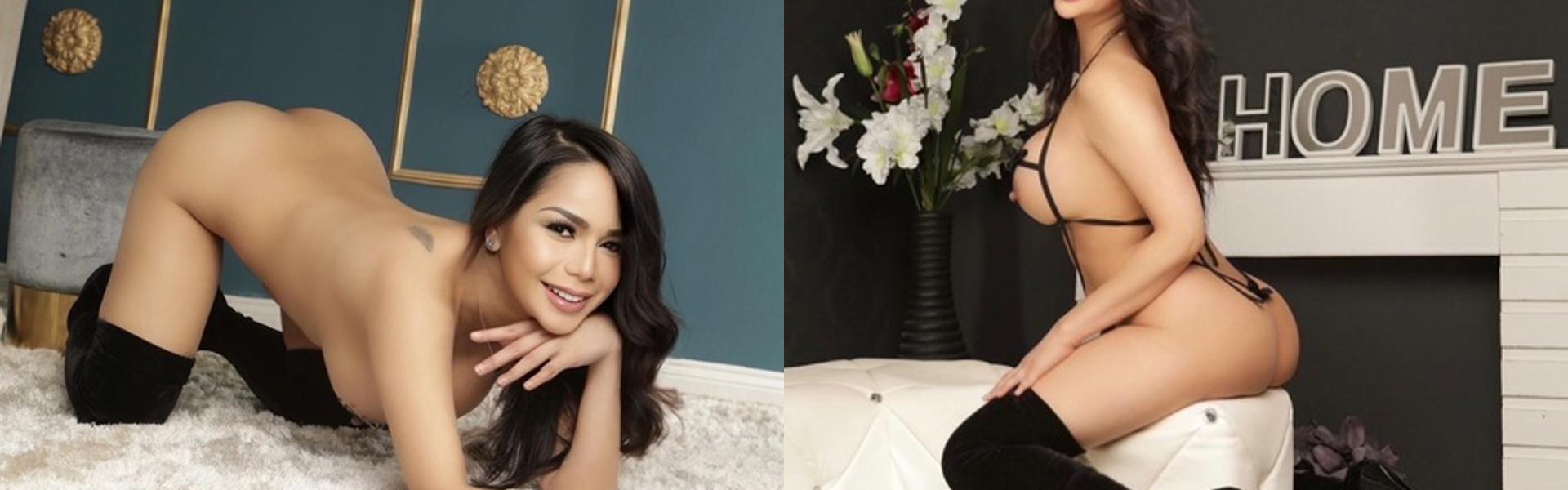 תמונת כותרת הפרופיל