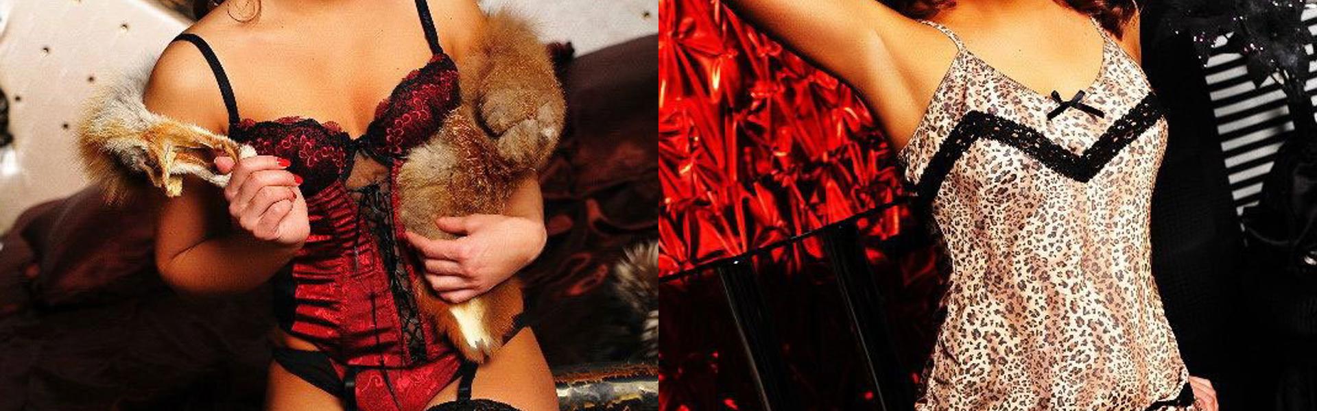 プロフィールヘッダー画像