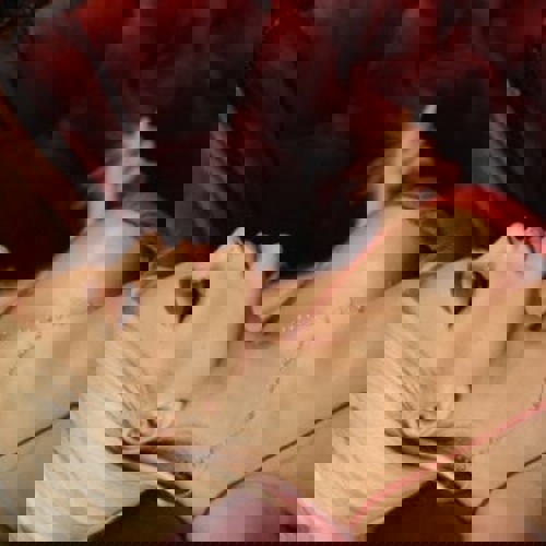 JULIANEWNURHAUSHOTELBESUCHE1