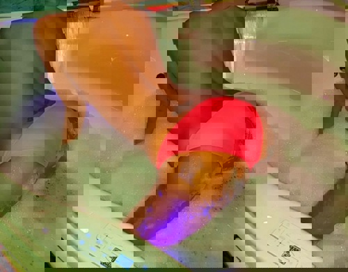 Anne770 - +49703121368206, +497031-21368206, 07031-21368206