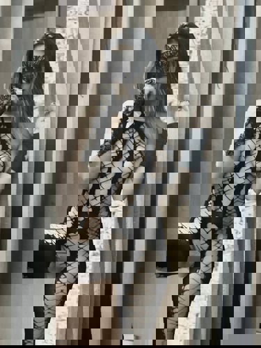 Amanisprichtperfektesdeutsch - +491633602142, +49163-3602142, 0163-3602142