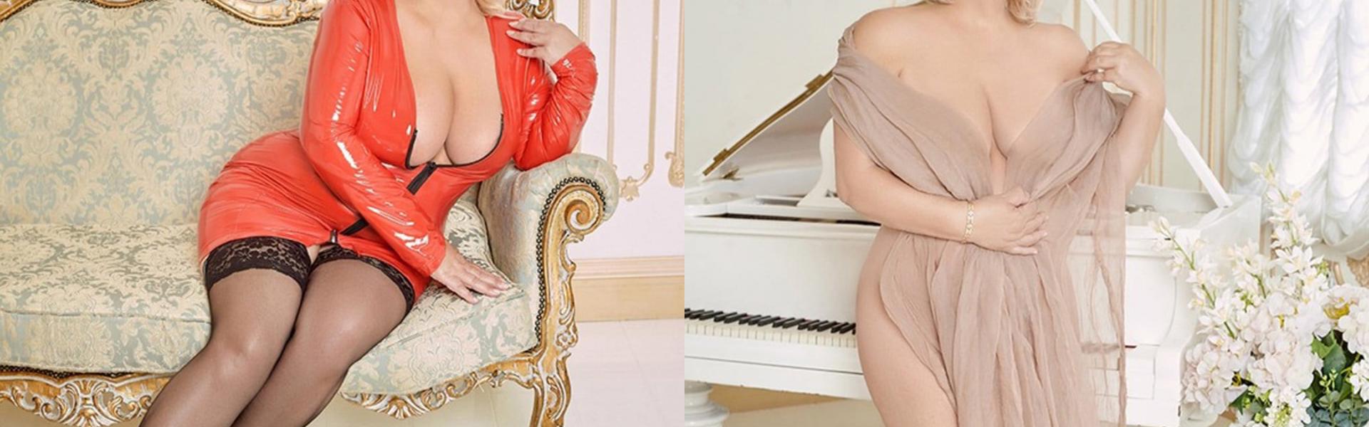 תמונת כותרת הפרופיל