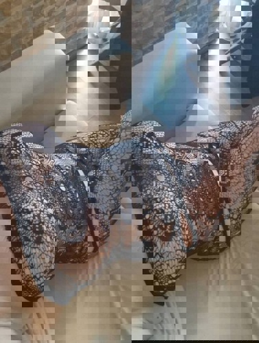 Roksana152 - +4915218238612, +491521-8238612, 01521-8238612