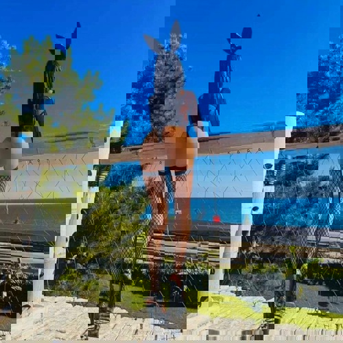 HeieEvaneuinderStadt - +4915784381820, +491578-4381820, 01578-4381820