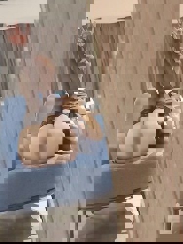 Amy151521509 - +4915215090305, +491521-5090305, 01521-5090305