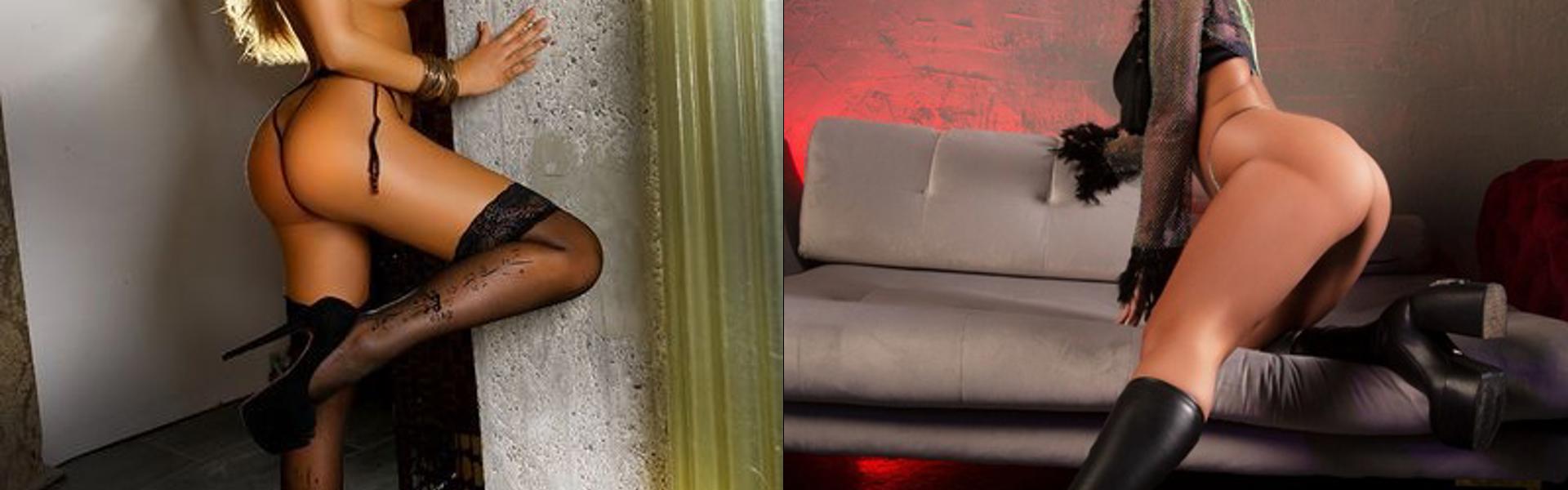 תמונת כותרת הפרופיל