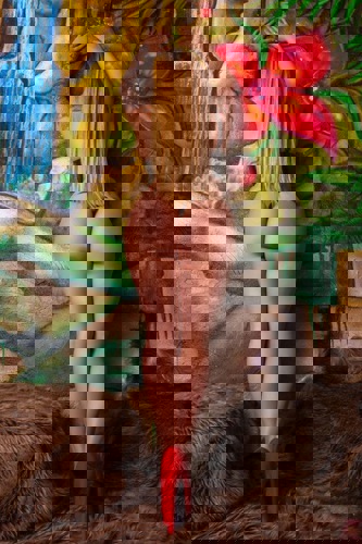 Evelyn1551 - +4915510536940, +4915510-536940, 015510-536940