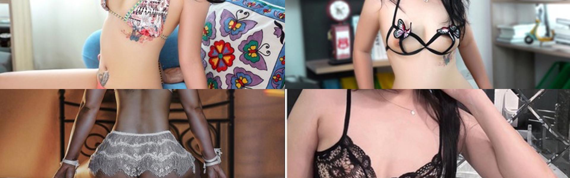 Ảnh tiêu đề hồ sơ