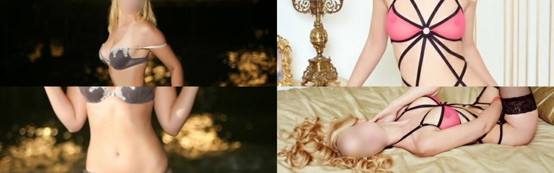 Gambar Header Profil