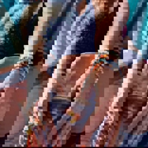 BisFr0108KATIvonBodenseewiederda