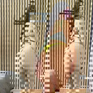 Εικόνα προφίλ