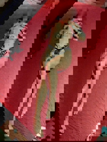 NEUTIFFANY - +4915511417241, +4915511-417241, 015511-417241