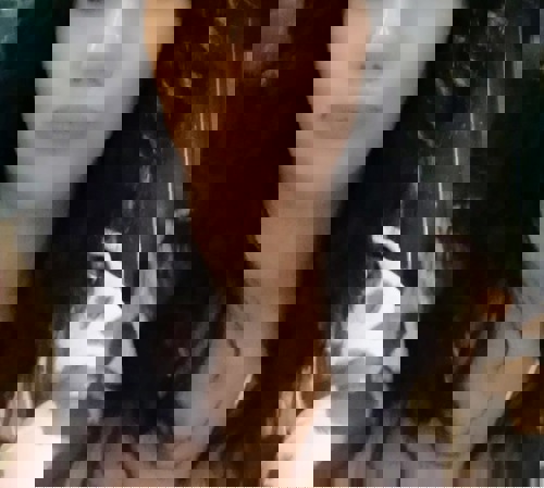 Vanessa155113 - +4915511319718, +4915511-319718, 015511-319718