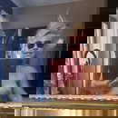 Εικόνα προφίλ